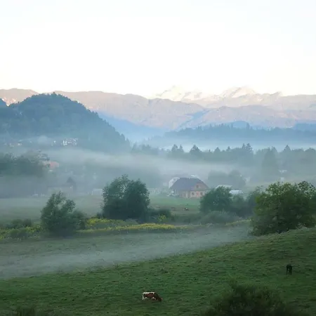 شقة Triglav